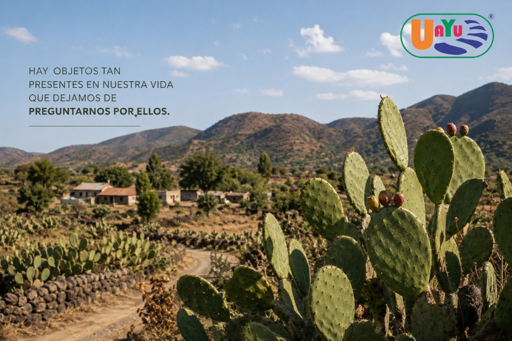 Nopal en paisaje seco de México, cultivo sin riego artificial